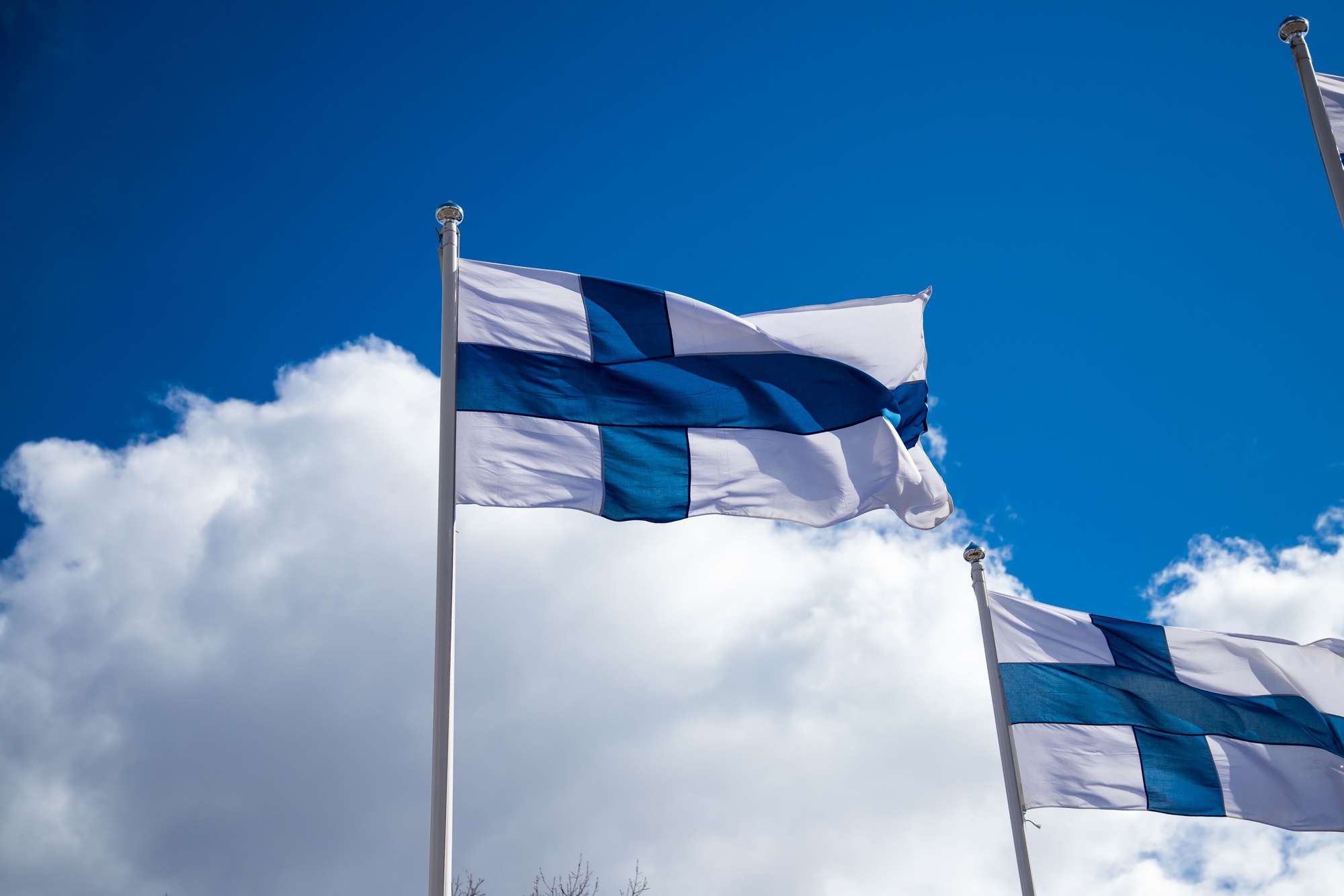 Finland flags waving on a flag pole in background of cloudy sky